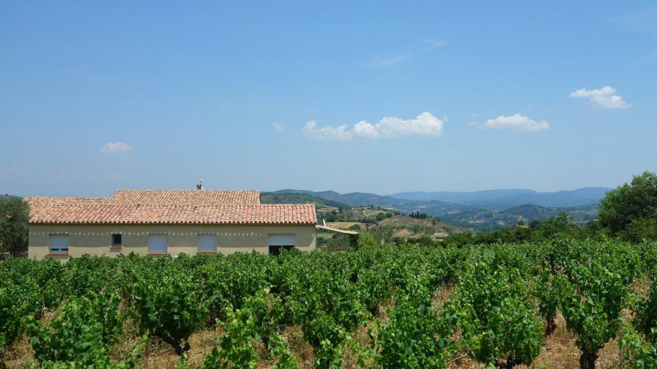 Gite Vigneron Du Domaine D'Alon Magrie Exterior photo