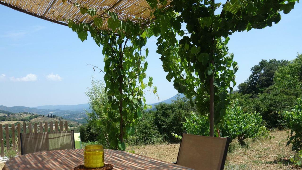 Gite Vigneron Du Domaine D'Alon Magrie Exterior photo