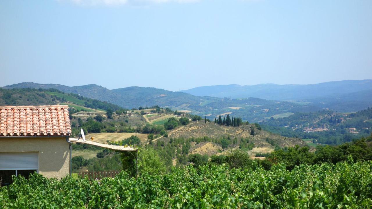 Gite Vigneron Du Domaine D'Alon Magrie Exterior photo